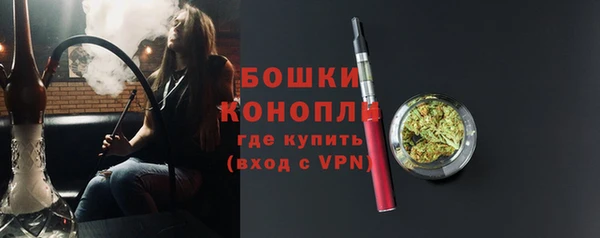 PSILOCYBIN Нязепетровск