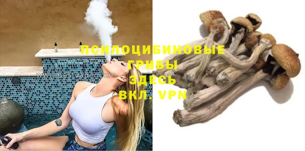 PSILOCYBIN Нязепетровск