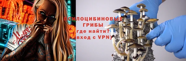 метадон Няндома