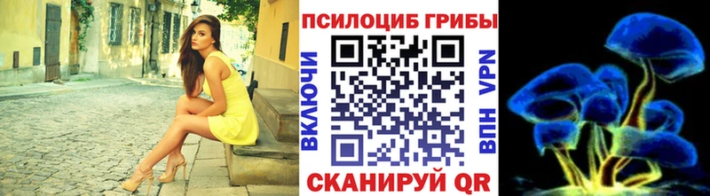 Галлюциногенные грибы прущие грибы  Серафимович 